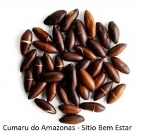 Sementes de Cumaru do Amazonas